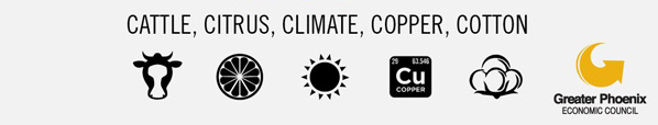 Arizona's 5 C's