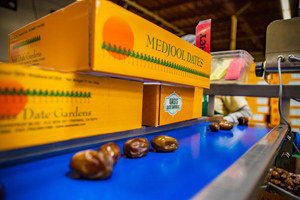 date packaging