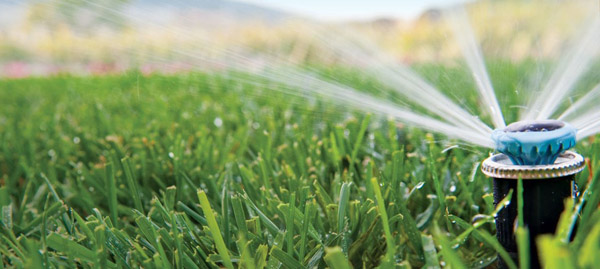 summer sprinkler