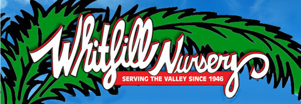 Whitfill Nursery